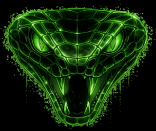 Green Snake Head